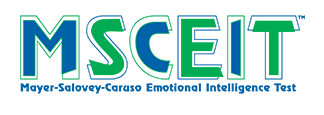 msceit-e1571321009280